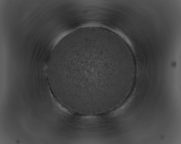 X0000091650953200708301416