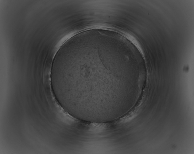 X0000091650954200708301416