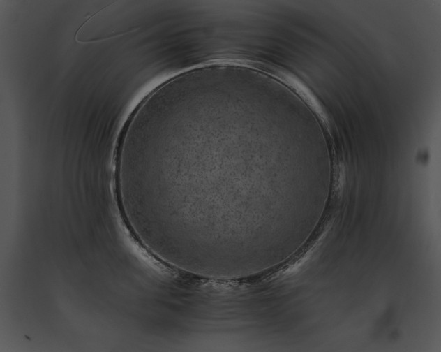X0000091650955200708301416