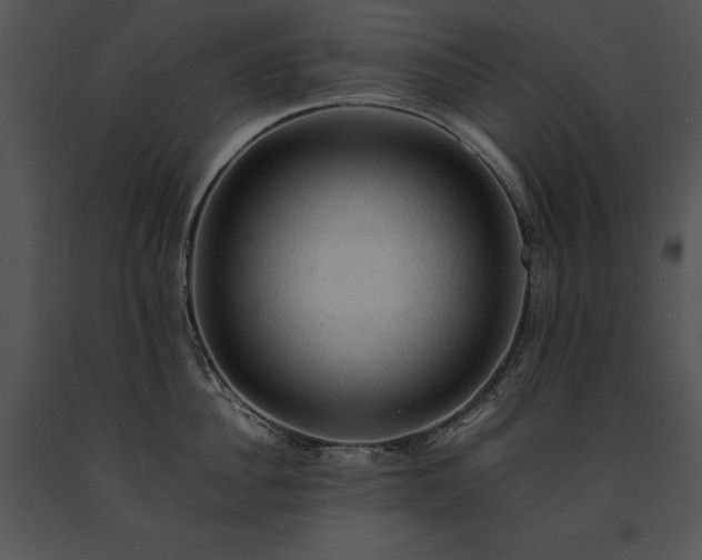 X0000091650956200708301416