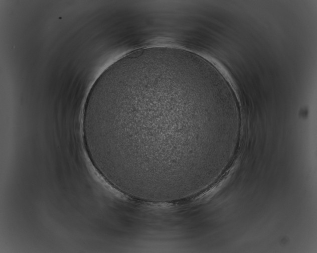 X0000091650957200708301416