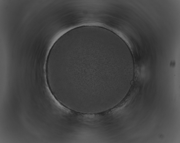 X0000091650959200708301416