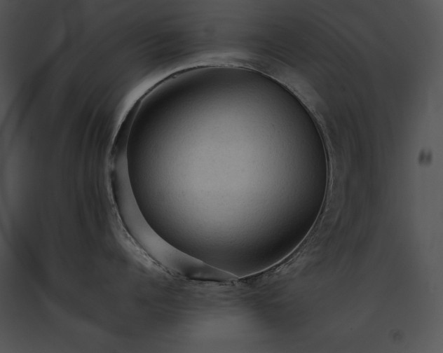 X0000091650960200708301416