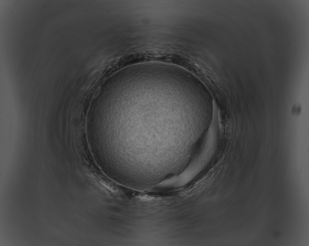 X0000091650961200708301415