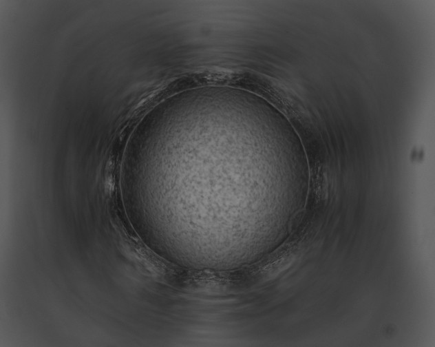 X0000091650962200708301415