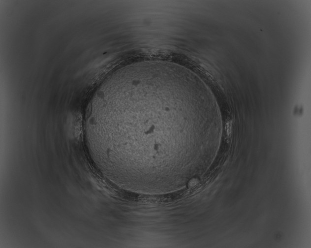 X0000091650963200708301415