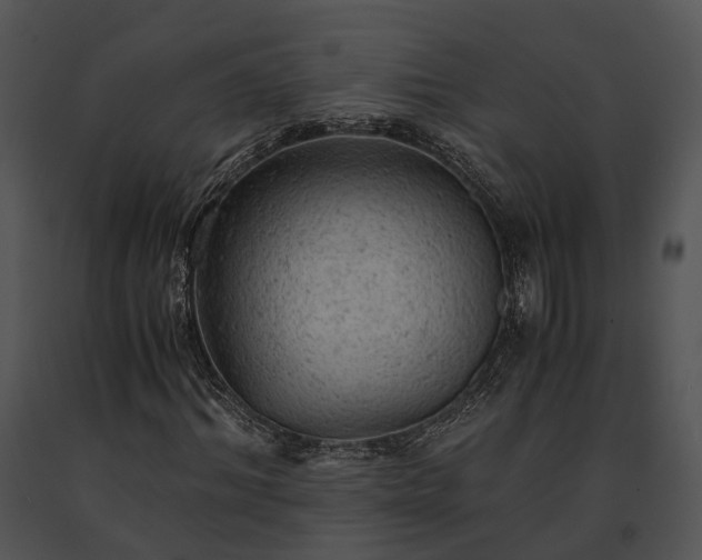X0000091650964200708301415