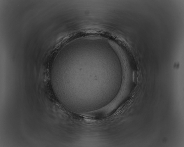 X0000091650965200708301415