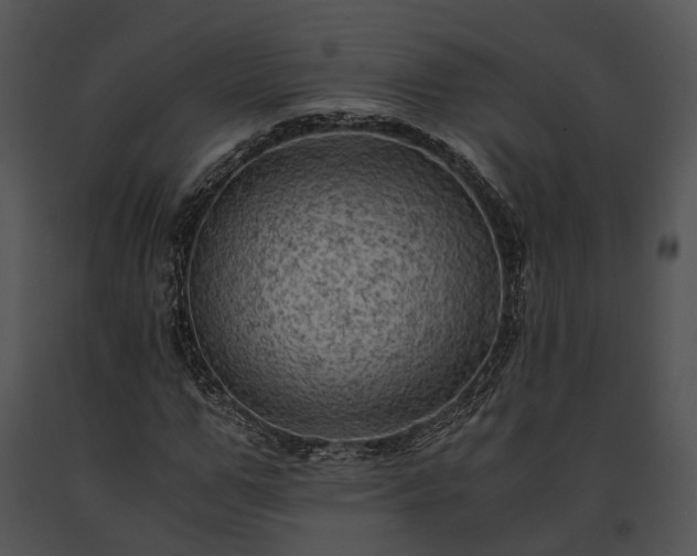 X0000091650967200708301415