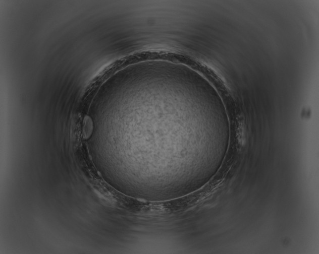X0000091650968200708301415