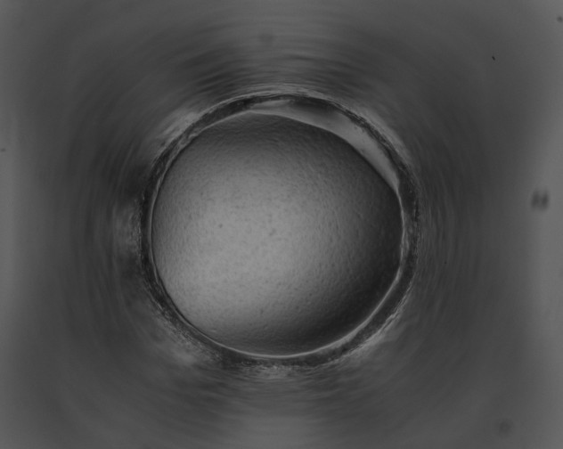 X0000091650969200708301415