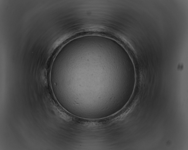 X0000091650970200708301415