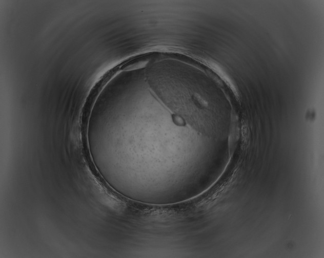 X0000091650972200708301415