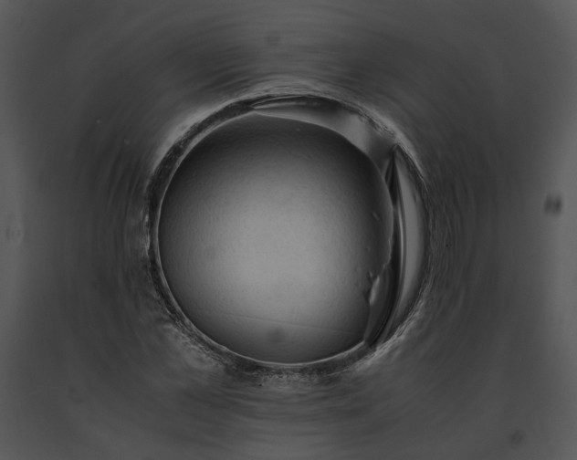X0000091650973200708301415