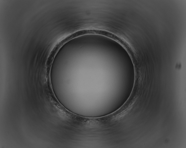 X0000091650974200708301415