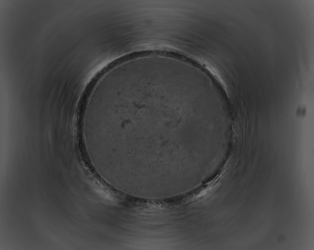 X0000091650975200708301415