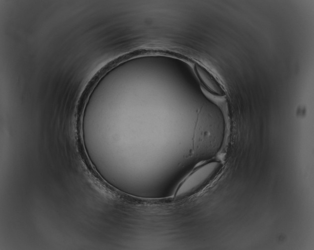 X0000091650976200708301415