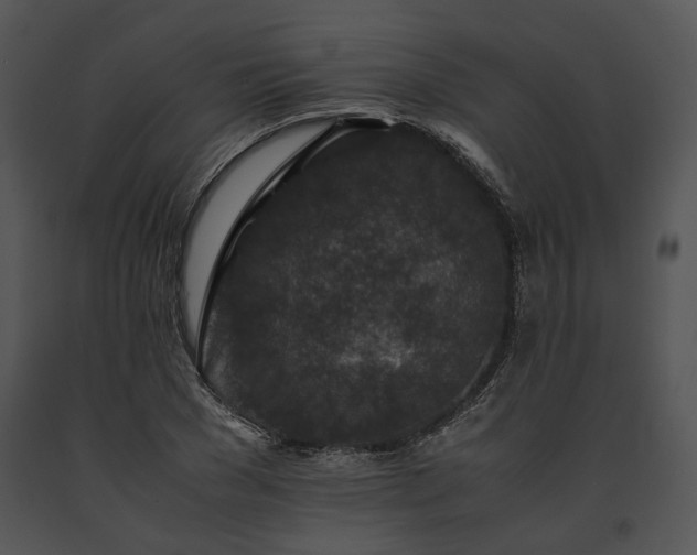 X0000091650977200708301415