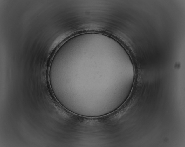 X0000091650978200708301415
