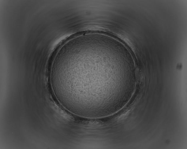 X0000091650979200708301415