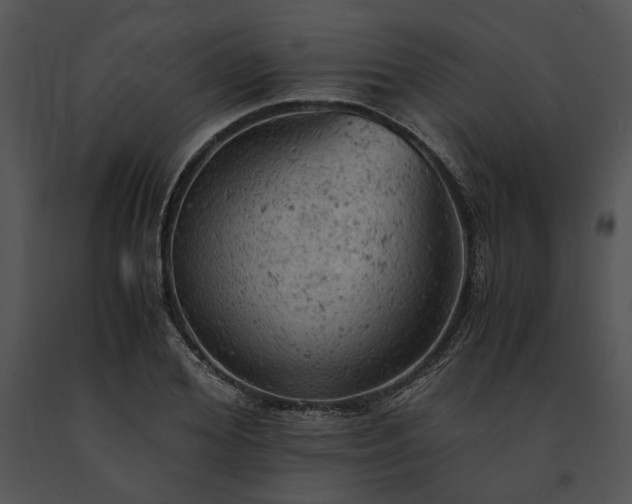 X0000091650980200708301415