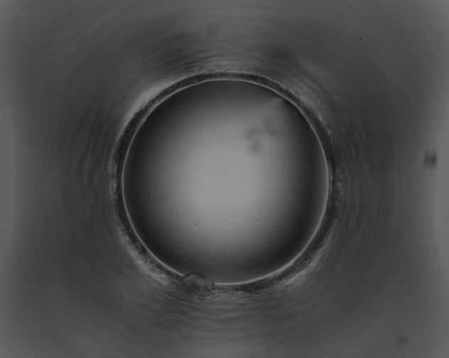 X0000091650981200708301415