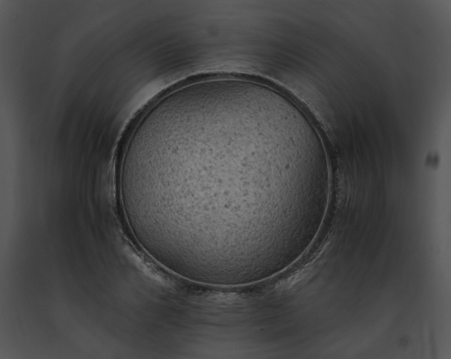 X0000091650982200708301415