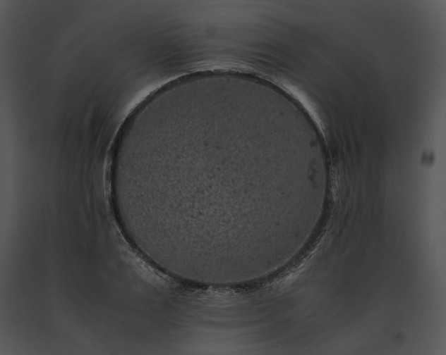 X0000091650983200708301415