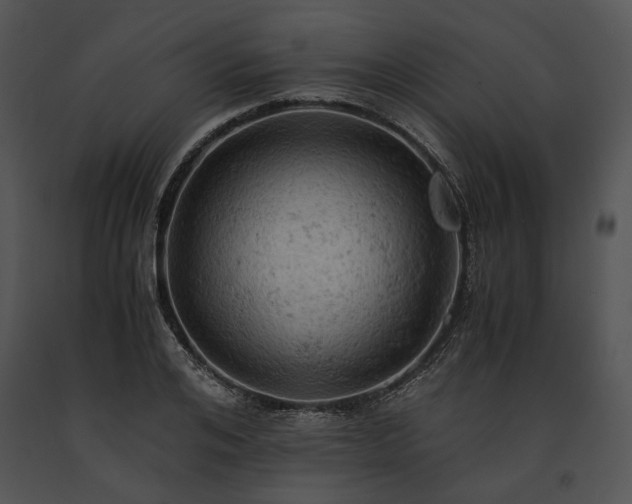 X0000091650984200708301415