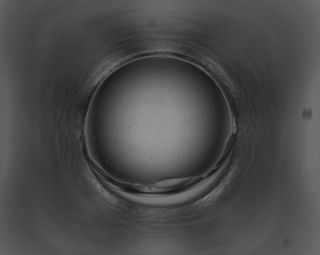X0000091650985200708301415