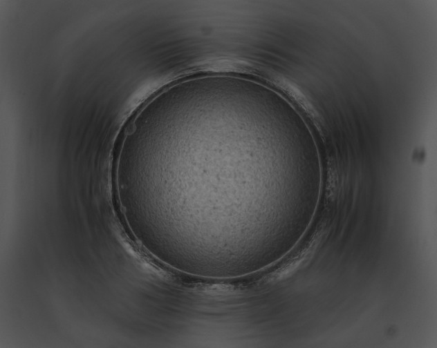 X0000091650986200708301415