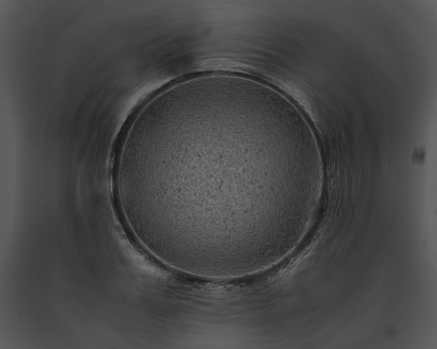 X0000091650987200708301415