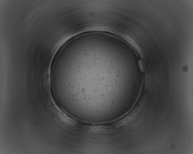 X0000091650988200708301415