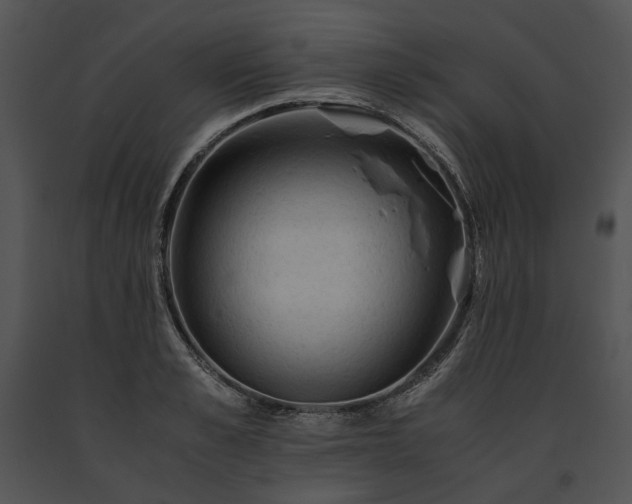 X0000091650989200708301415