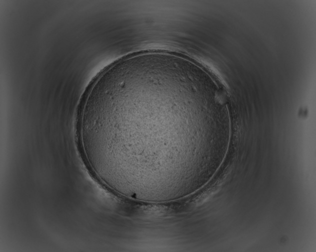 X0000091650991200708301415