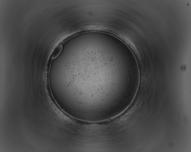 X0000091650992200708301415