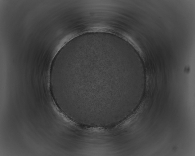X0000091650994200708301415