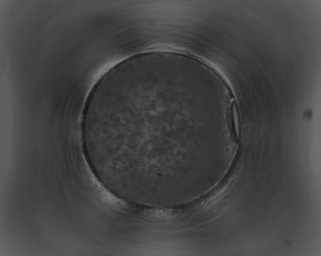 X0000091650995200708301415