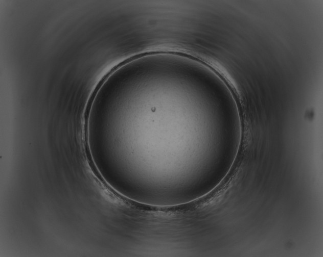 X0000091650996200708301415