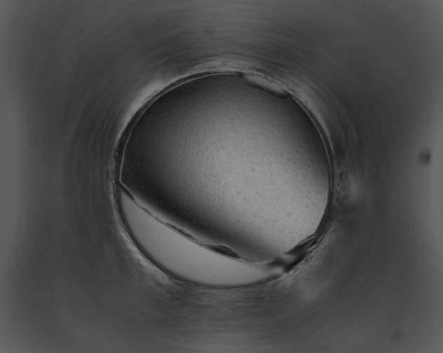 X0000091650997200708301415
