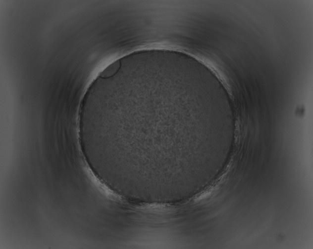 X0000091650998200708301415