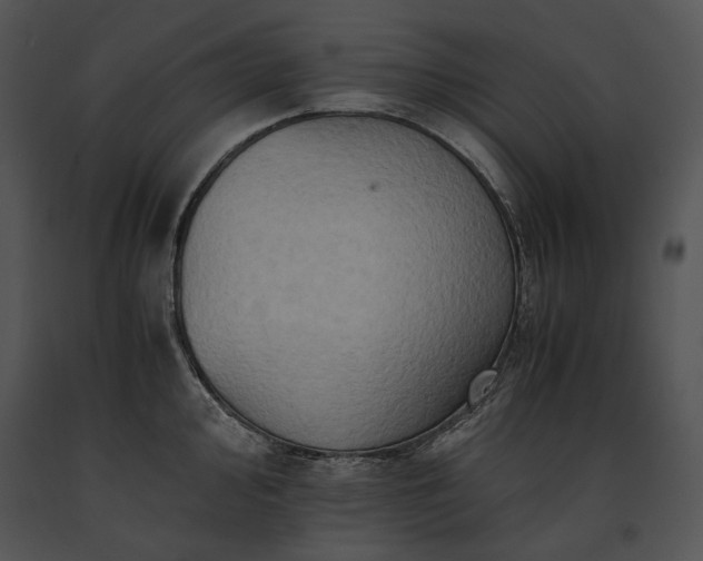 X0000091651000200708301415