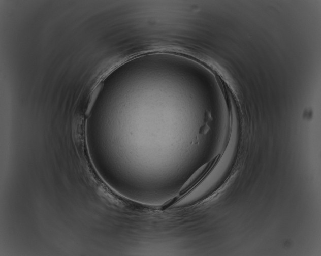 X0000091651001200708301415