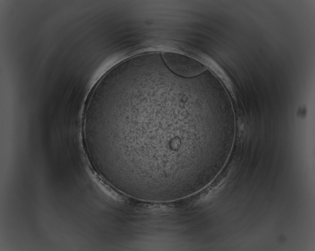 X0000091651002200708301415