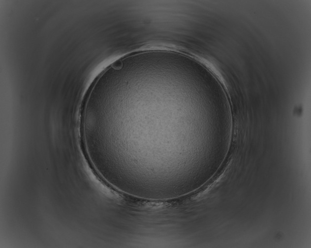 X0000091651003200708301415
