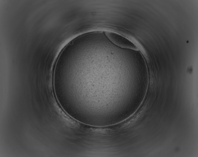 X0000091651004200708301415