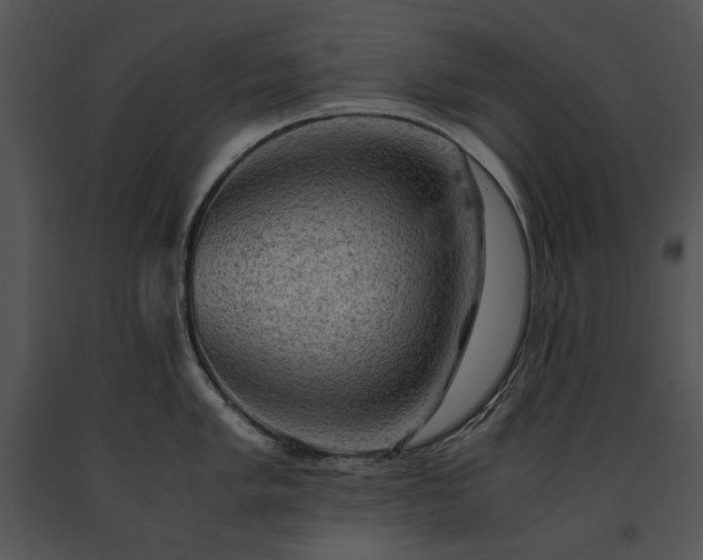X0000091651005200708301415