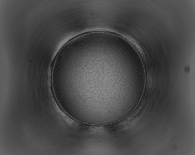 X0000091651006200708301415