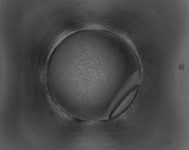 X0000091651008200708301415