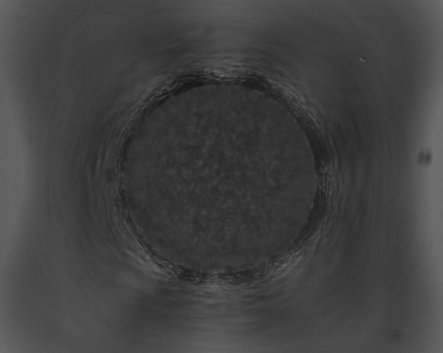 X0000091651009200708301414